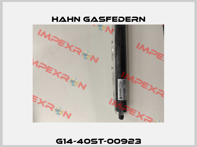 G14-40ST-00923 Hahn Gasfedern