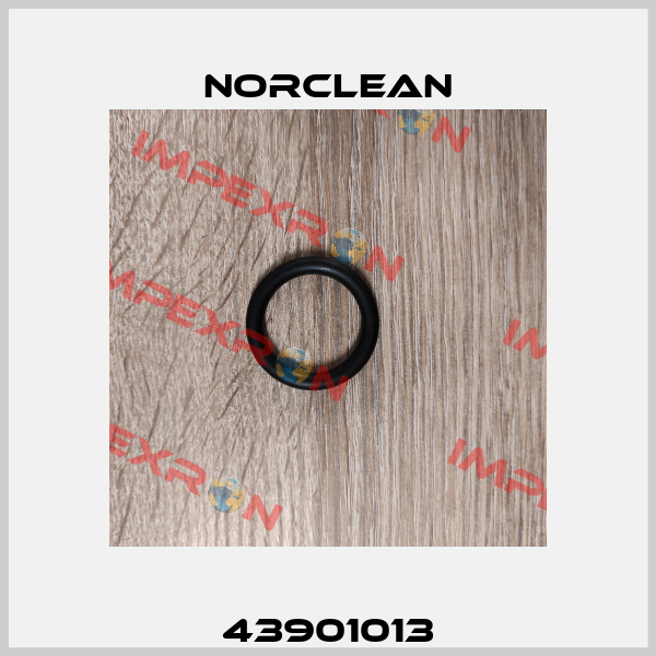 43901013 Norclean