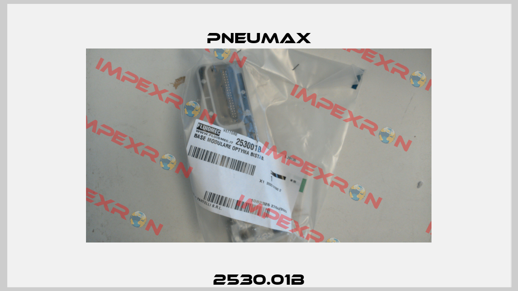 2530.01B Pneumax